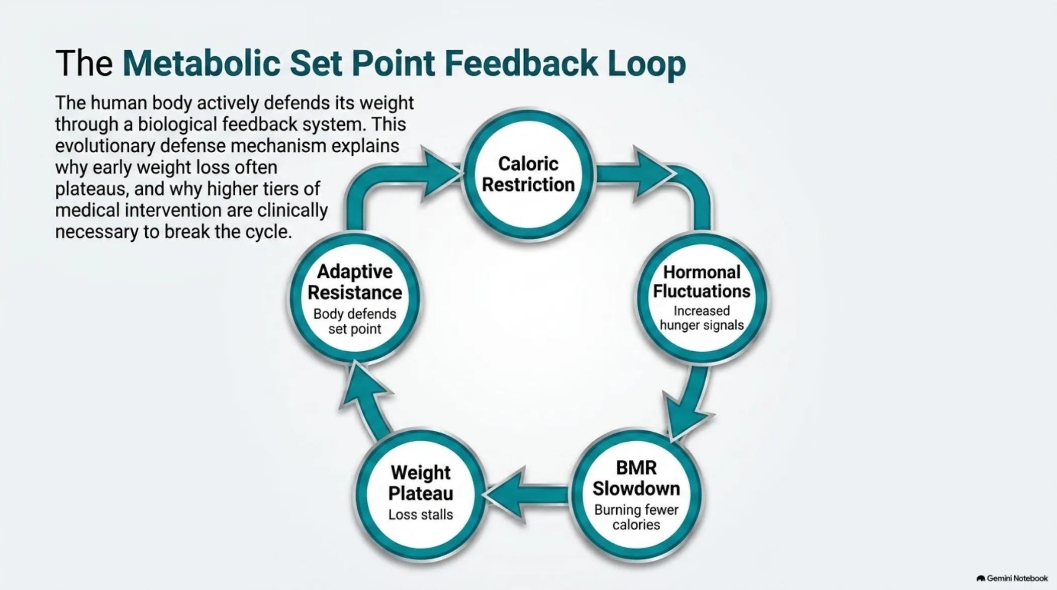 The Medical Weight Loss Navigator — slide 4