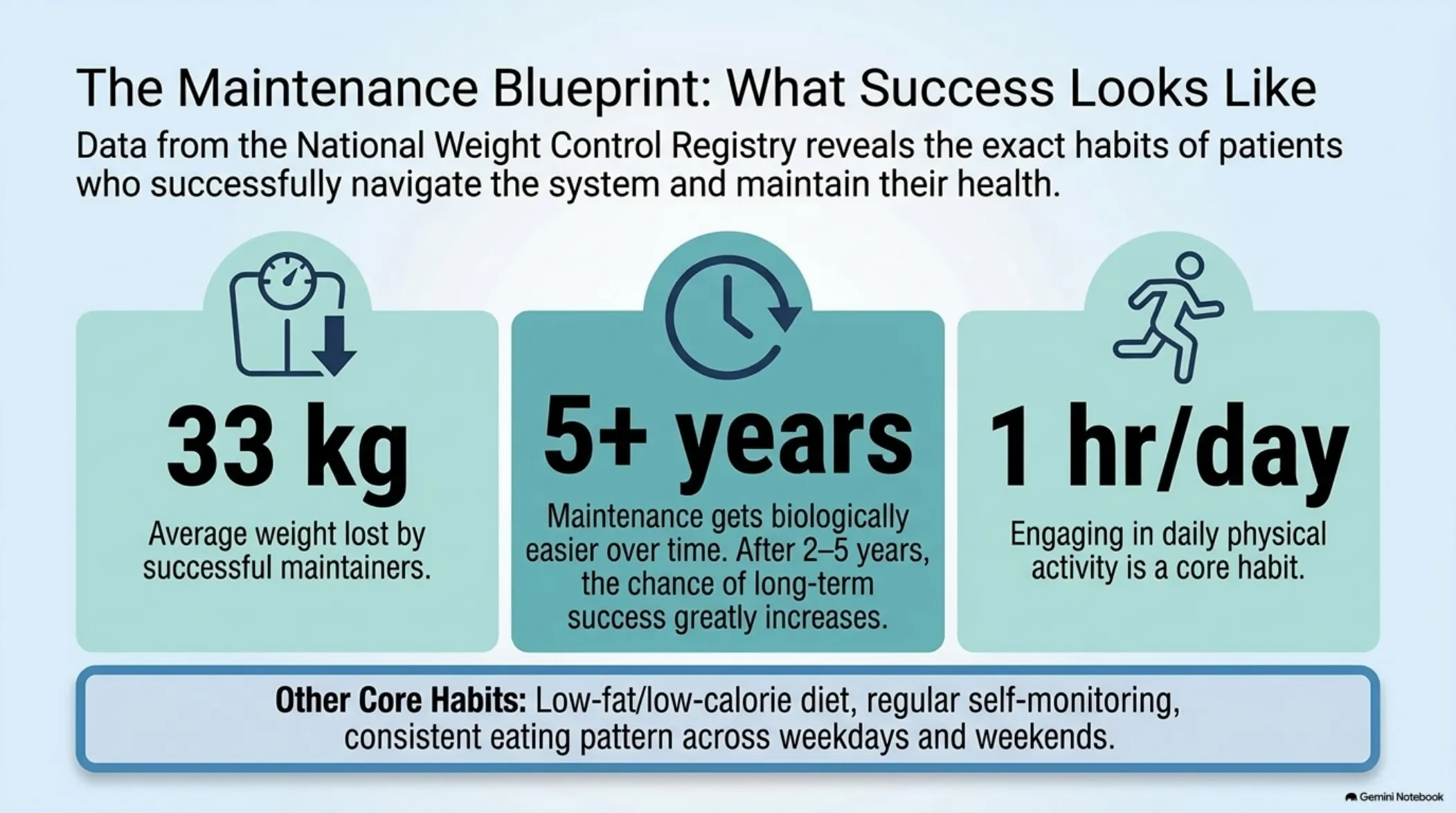 The Medical Weight Loss Navigator — slide 11
